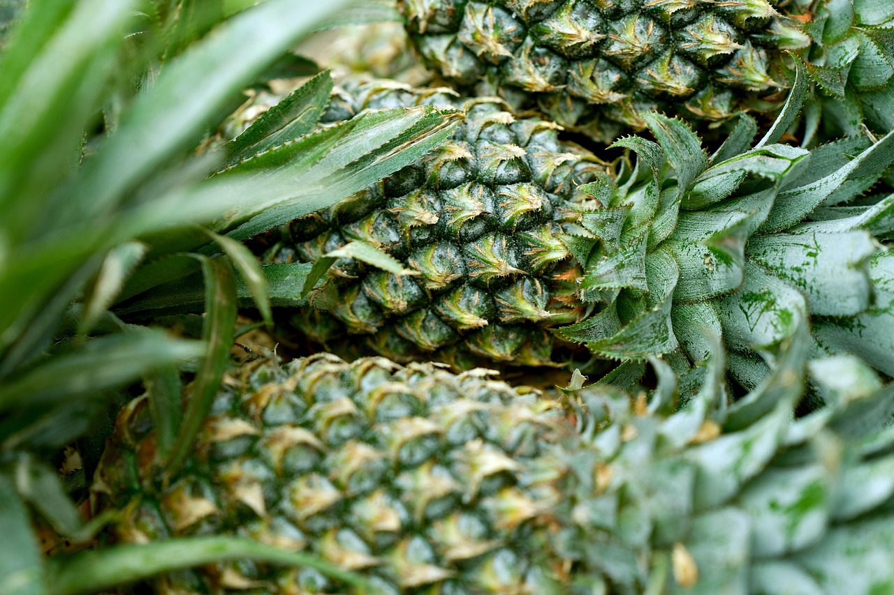 pineapple, fruit, fresh, food, ripe, organic, pineapple, fruit, fruit, fruit, fruit, fruit